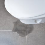 Why do Toilets Leak?