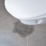 Why Toilets Leak