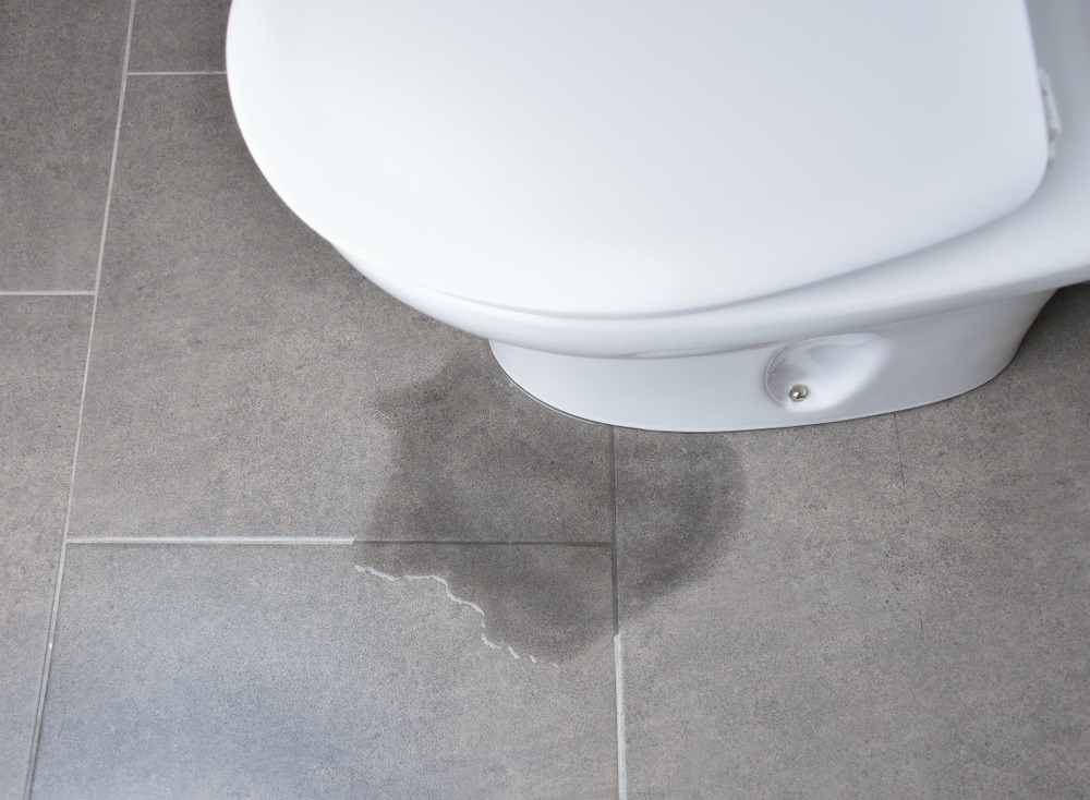 Why do Toilets Leak?